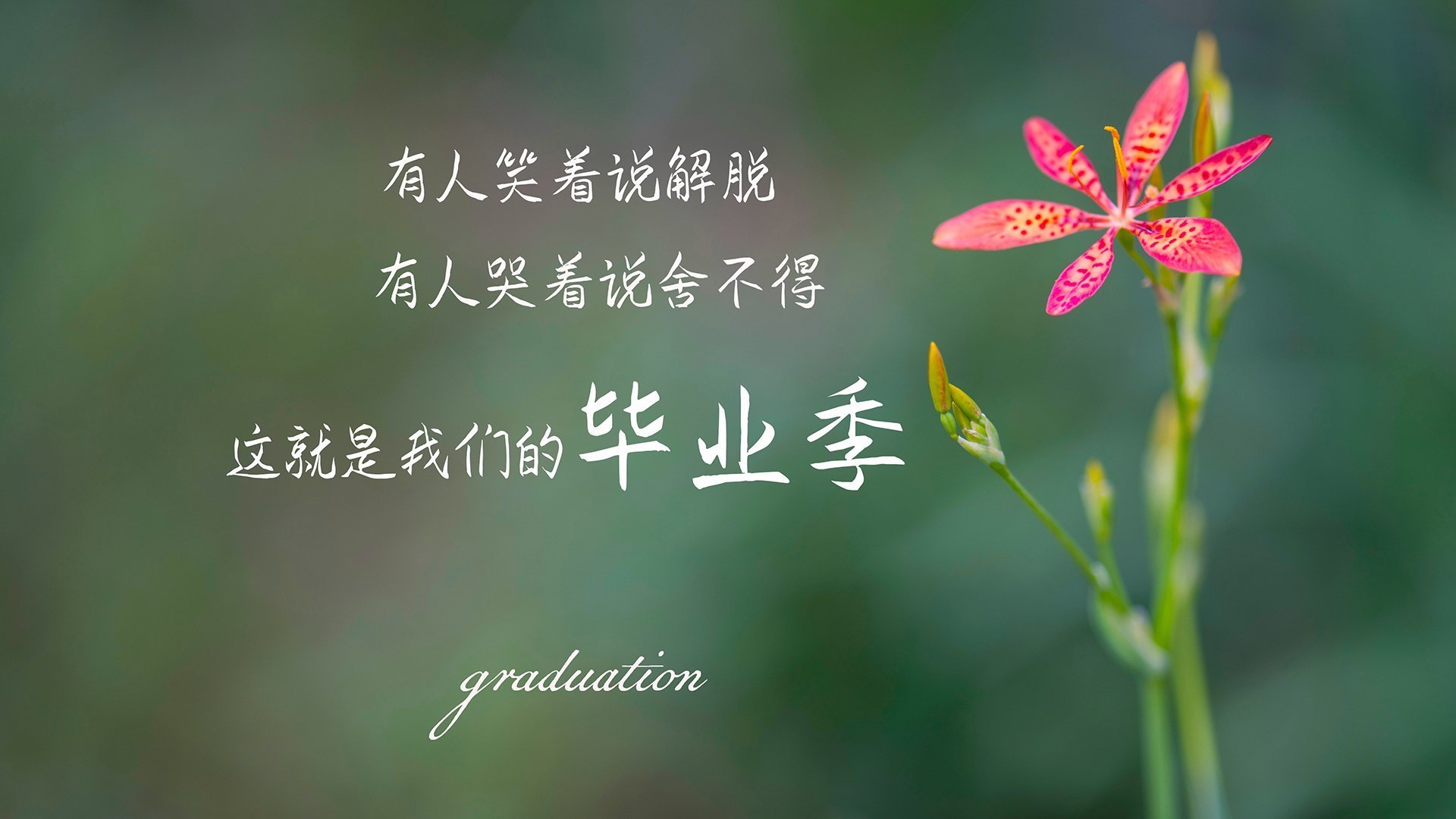 英超球队体能负荷管理与伤病预防机制探讨，球员负荷管理