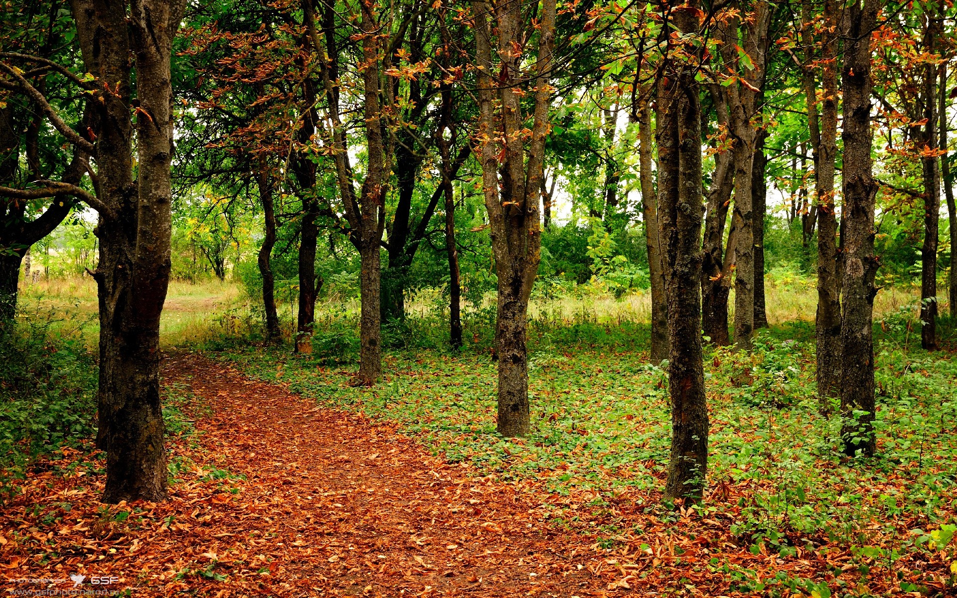 开云体育在线登入-意甲技能盛宴：灵巧过人点燃赛场，意甲高能7秒