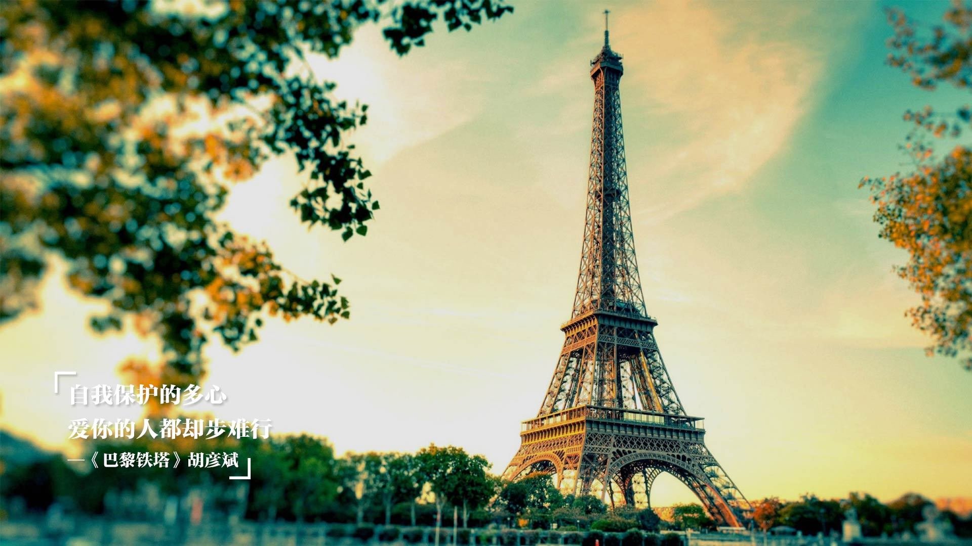 英格兰队粉丝破纪录,赛季关注度激增,英格兰队伍分析