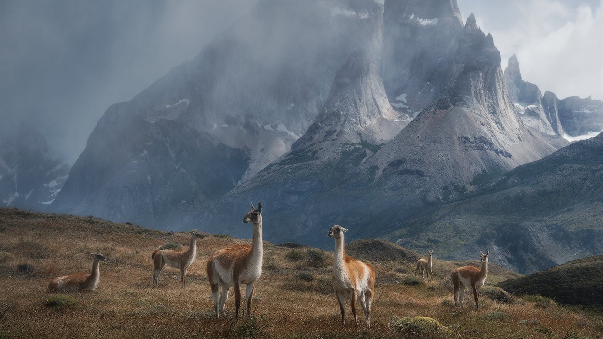 雷霆球队全员拍摄新赛季合照气氛融洽，雷霆球队队员名单