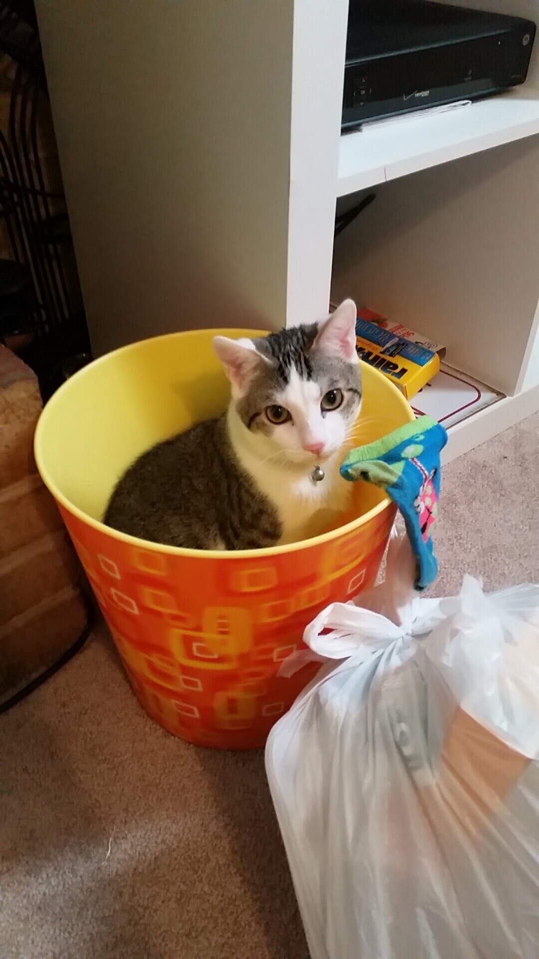 上海江苏完成2换1交易：区域协同开启的新篇章